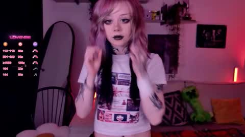 Lolly online show from November 9, 11:41 am