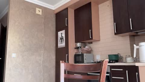 Snapshot of _morpho_ chatting on November 20, 11:21 am Francine Aisi Morpho - a genus of blue butterflies. online show from November 20, 11:21 am