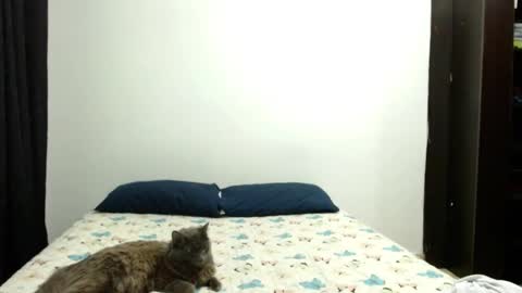 Snapshot of _sofiaparker_ chatting on October 3, 4:37 pm Sofia Parker online show from October 3, 4:37 pm