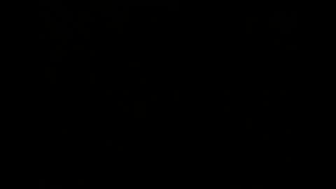 Melisa online show from December 2, 2:41 pm