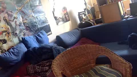 Sven online show from October 3, 11:07 am