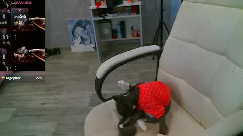 Snapshot of _sweet_ruby_ chatting on February 26, 7:53 am Milana welcome to my world online show from February 26, 7:53 am