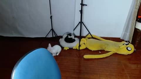 Snapshot of _the_dark_side_of_the_moon_ chatting on March 19, 1:53 am _the_dark_side_of_the_moon_ online show from March 19, 1:53 am