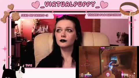 puppy online show from August 7, 11:51 pm