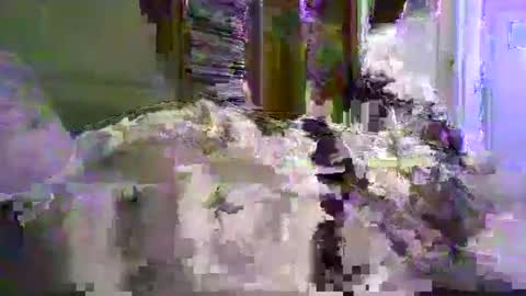 Snapshot of a203530 chatting on January 8, 10:23 pm a203530 online show from January 8, 10:23 pm
