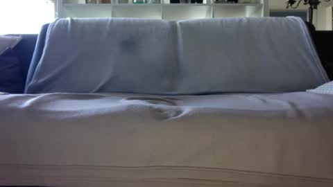 Snapshot of a_nice_dick_77 chatting on April 16, 7:31 am a_nice_dick_77 online show from April 16, 7:31 am