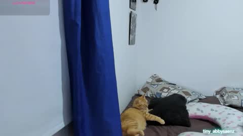 Abby Saenz online show from October 18, 11:27 pm