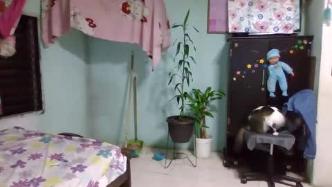 Snapshot of abbyasher chatting on February 3, 12:36 am Abby online show from February 3, 12:36 am