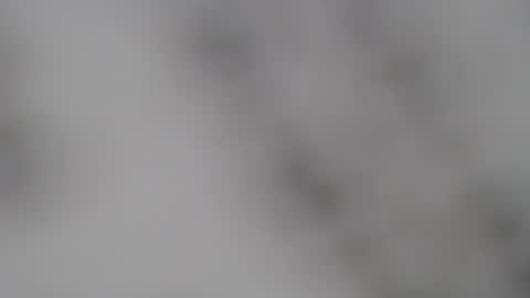 Snapshot of abbyjacksonn_ chatting on February 5, 1:00 pm ABBY online show from February 5, 1:00 pm