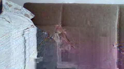 abdil_34 online show from February 5, 9:18 pm