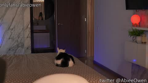 abie_owen online show from September 28, 9:09 pm