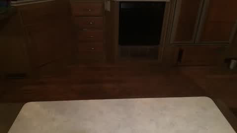 ace online show from November 21, 8:13 am