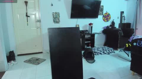 Snapshot of acid_alice666 chatting on January 9, 10:09 pm Alice online show from January 9, 10:09 pm