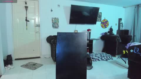Snapshot of acid_alice666 chatting on January 10, 1:10 am Alice online show from January 10, 1:10 am