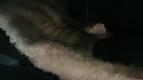 acid_lab online show from December 16, 2:27 pm