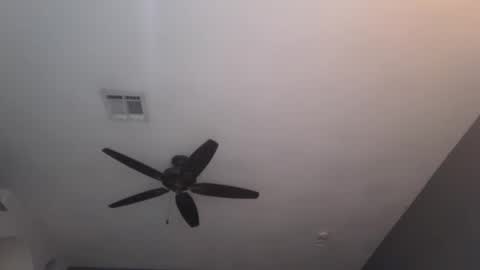 OF  online show from January 23, 12:04 am