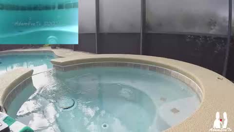 Snapshot of adamevetv chatting on November 29, 6:00 pm Adam And Eve online show from November 29, 6:00 pm