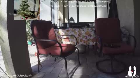 Snapshot of adamevetv chatting on December 21, 7:54 pm Adam And Eve online show from December 21, 7:54 pm