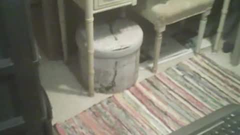 Snapshot of adamsny chatting on November 4, 8:46 am adamsny online show from November 4, 8:46 am