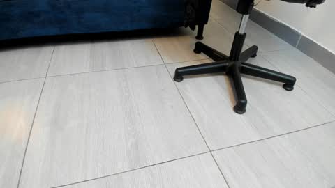 Snapshot of adbel_sady chatting on December 27, 11:06 am adbel sady online show from December 27, 11:06 am