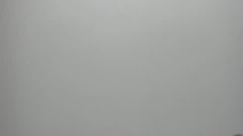 Snapshot of adbel_sady chatting on January 17, 11:17 am adbel sady online show from January 17, 11:17 am