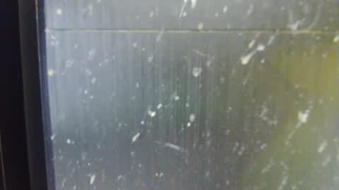 adiraxo online show from October 13, 1:22 pm