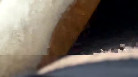 adread online show from February 19, 12:28 am