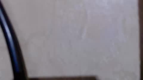 aeonian4 online show from December 19, 11:23 pm