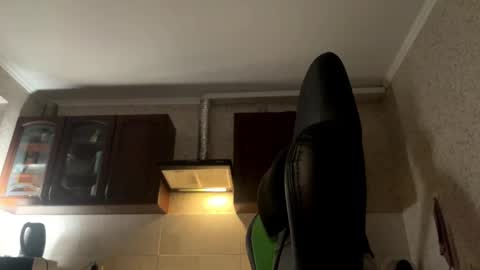 Snapshot of aevra chatting on December 6, 2:24 am vegans taste better online show from December 6, 2:24 am