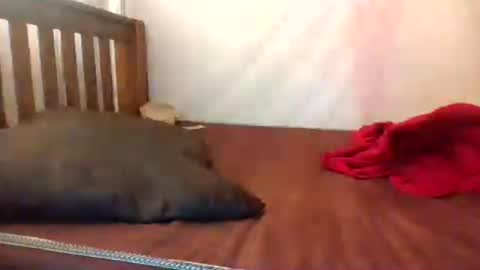 i wish to be someones real princess online show from July 21, 5:43 am