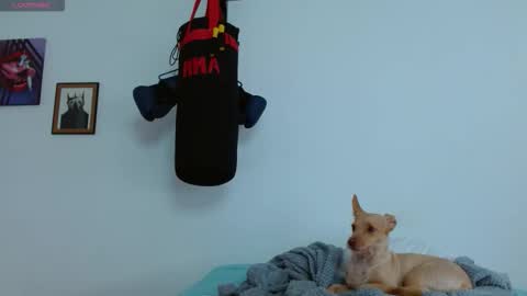 Agness online show from October 20, 6:08 pm