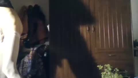 agua online show from November 22, 11:04 pm