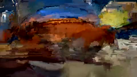 aj297914 online show from October 1, 3:34 am