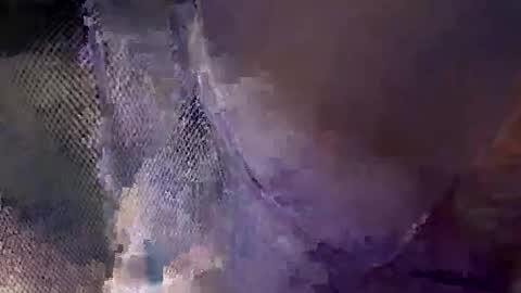 aj297914 online show from October 18, 5:54 am