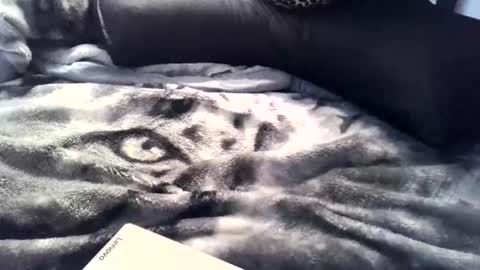 aken4it online show from April 2, 11:35 pm