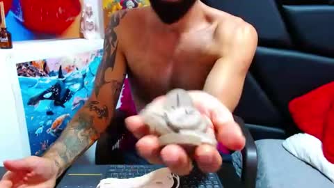 akiles online show from June 11, 11:58 pm