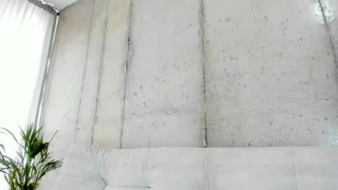 Alan greek online show from February 14, 1:29 pm