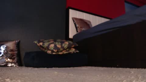 Alanna online show from January 11, 5:20 am