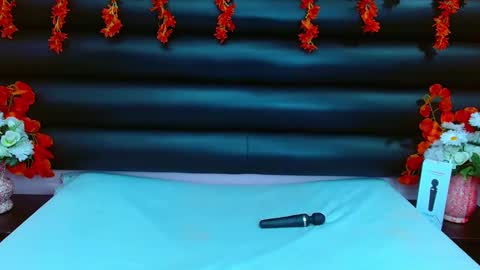 AlaSmith  online show from February 11, 2:03 am