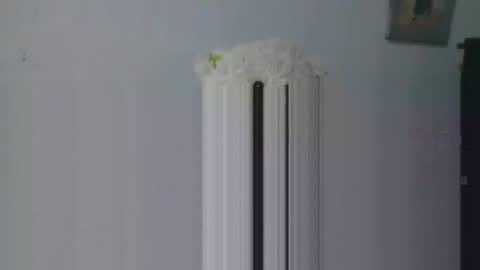 Snapshot of aleka_williams_ chatting on October 20, 11:27 pm aleka_williams_ online show from October 20, 11:27 pm