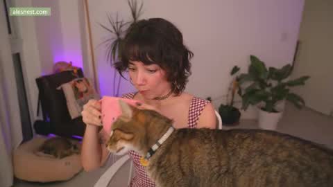 Ale online show from December 3, 12:51 am