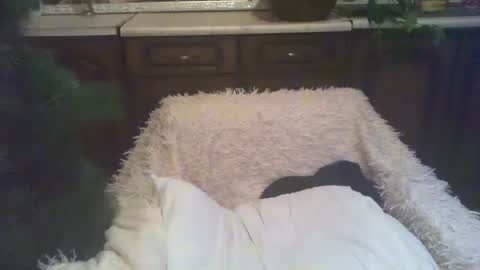 Luly online show from January 5, 3:00 am