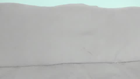 Ale online show from January 25, 12:16 pm