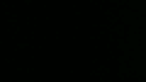 alex online show from December 26, 10:26 am