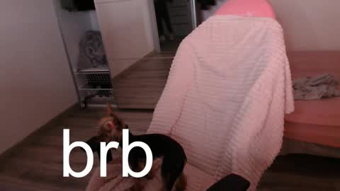 Alex online show from September 21, 9:27 pm