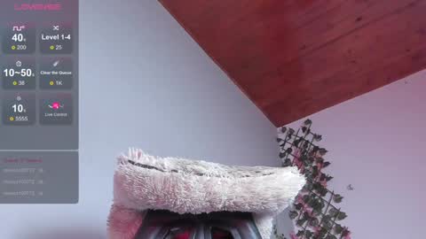 Dani online show from January 10, 8:51 am