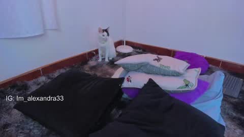 Snapshot of alexa_will chatting on March 31, 2:13 am alexa_will online show from March 31, 2:13 am