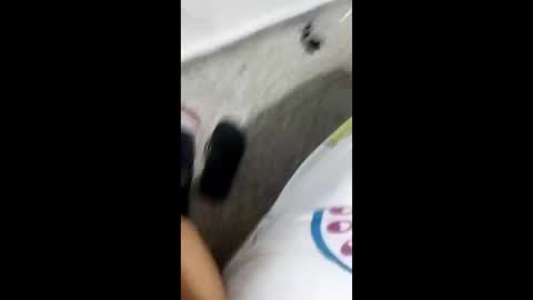 Alexamdergal online show from January 9, 10:31 pm