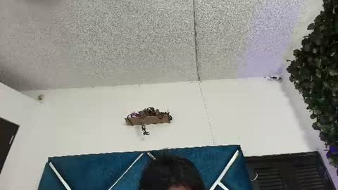 Alexa online show from June 13, 11:24 pm