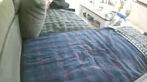 Snapshot of alexfresh84 chatting on May 2, 8:41 am Doggystyle online show from May 2, 8:41 am